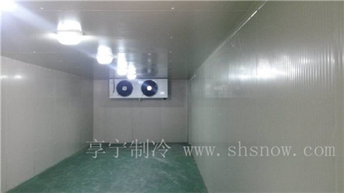 建造冷庫如何選擇壓縮機(jī)