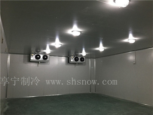 疫苗冷庫(kù)電力保障的重要性