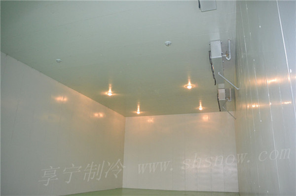 影響醫(yī)藥冷庫(kù)造價(jià)的因素