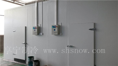 大型冷庫(kù)造價(jià)影響因素