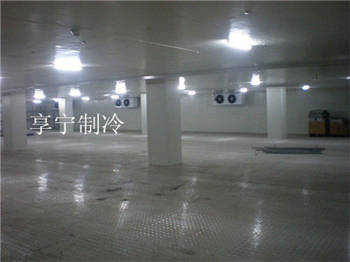 影響冷庫造價(jià)的因素