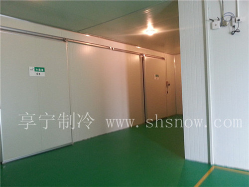 冷庫設(shè)計(jì)要點(diǎn)
