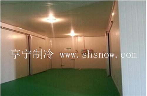 冷庫設(shè)計(jì)要點(diǎn)