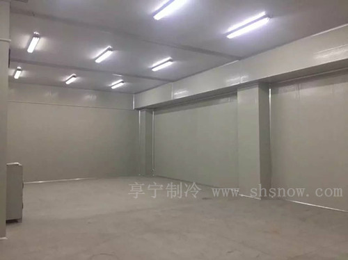 藥品冷庫(kù)的使用注意事項(xiàng)有哪些？