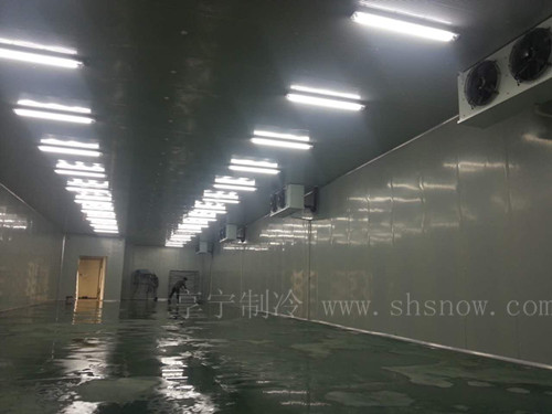 醫(yī)藥冷庫設計 醫(yī)藥冷庫設計