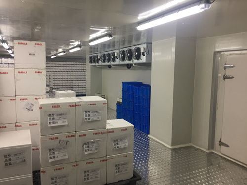 醫(yī)藥冷庫有哪些特點？